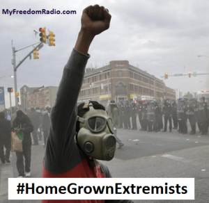 Screenshot - Preppers are not the Extremists